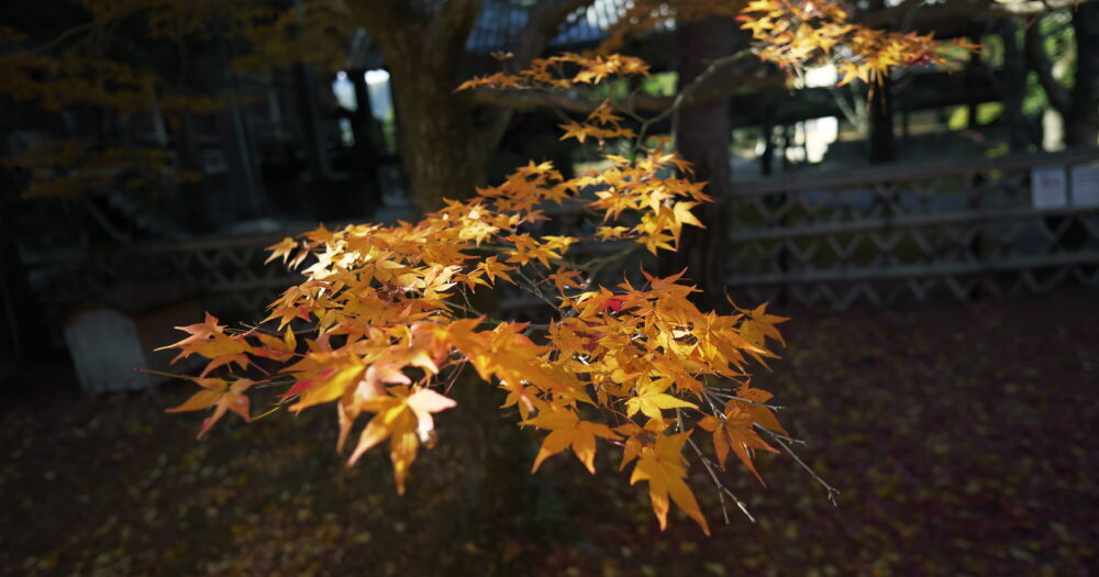 kyoto-photo-examples