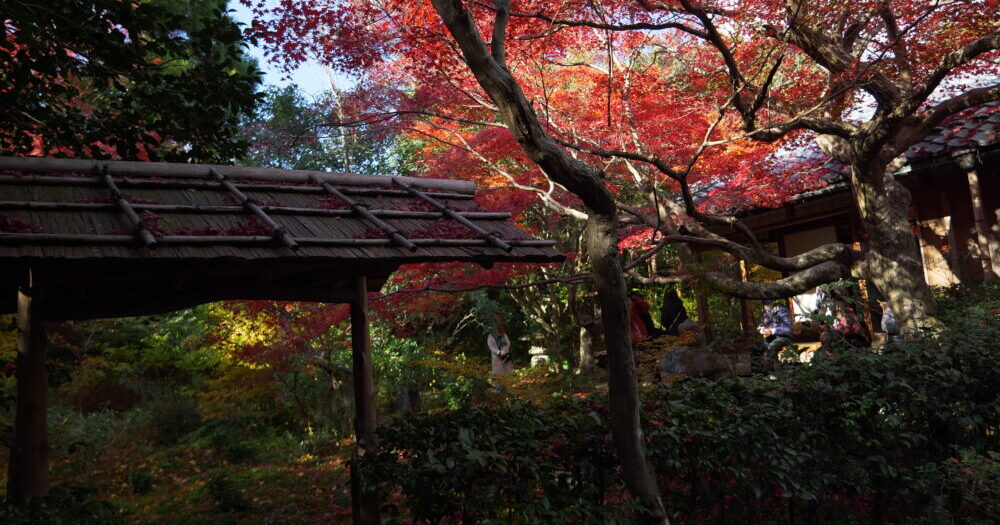 kyoto-photo-examples