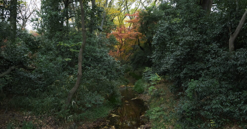 kyoto-photo-examples