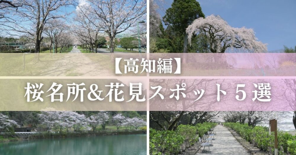 高知県 桜 名所